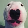 jake.gentry173 - @jake.gentry173 - TikTok