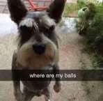 Jake Giddings - Facebook
