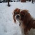 Jake Goodson - Facebook