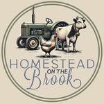 Jake & Grace - Owner Builders - @homesteadonthebrook - Instagram