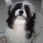 Jake Guerrero - @_jake_guerrero_ - Instagram