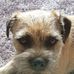 Jake Gunn - Facebook