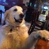 jakegunn360 - @jakegunn360 - TikTok