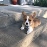 Jake Haley - @potato_jakehaley - Instagram