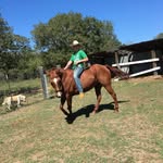 Jake Haley - @crzyboyjake - Instagram
