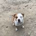 Jacob Hamrick - Facebook
