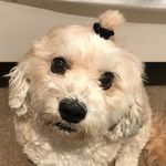Jake_hanley - @jake_hanley2 - Instagram