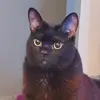 Jake Hayden - @jake.hayden1 - TikTok