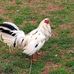 Jacob Hedrick - Facebook