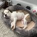 Jake Henault - Facebook