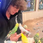 Jake Herbert - @jake.herbert - Instagram