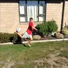 jake_herbert - @jake_herbert - TikTok