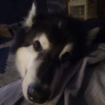 Jake Hirsch - @jake.hirsch.980 - Instagram