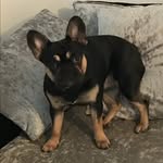 Jake Holland - @jakeholland1710 - Instagram