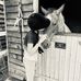 Jake Holman - Facebook