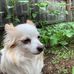Jake Holt - Facebook