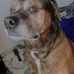 Jake Holt - Facebook