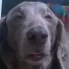 jakeholt - @jakeholt718 - TikTok