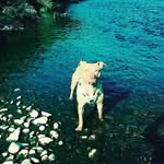 jake - @jake_horne_1903 - Instagram
