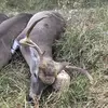 Jake Hull - @jakehull84 - TikTok