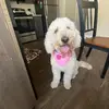 jakehull92 - @jake.hull26 - TikTok