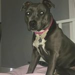A_J.privv - @jake.humphries.7568 - Instagram