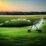 Jake Hunt - @hunt_farms_9240 - Instagram