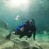 Jake Hunt - @jake.hunt60 - TikTok