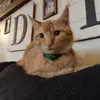 jakehunt733 - @jakehunt733 - TikTok