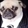 Jake Hurtado - @jake.hurtado6 - TikTok