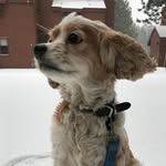@jakeironsjr - Instagram