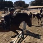 Jake.the.Jumper - @jake.the.jumper - Instagram