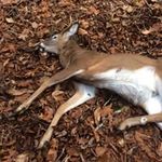 Jake Kelley - @jake.kelley.9085 - Instagram