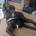 Jake Kelley - Facebook