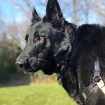 Jake Kendrick - @kendrickjake_ - Instagram
