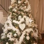 Jake Kingston - @jakekingston437 - Instagram