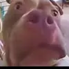 Jake klutz - @jakekultz - TikTok