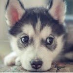 Jake Krumm - @jake_krumm - Instagram