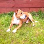 Jake - @_jake_lakes_ - Instagram