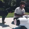 Jake Lamb - @jakelamb - TikTok