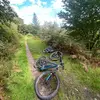 Jake Lambert - @_jakelambert - TikTok