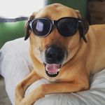 Jake Lamont - @jakethedude2014 - Instagram