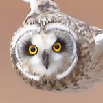 Jakelanding - @jakelanding - Instagram