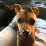 Jake Landry - @jakelandry8 - Instagram
