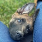 @jakelaney2021 - Instagram