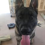 @jakelaney2022 - Instagram