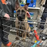 @jakelaney2023 - Instagram