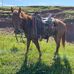 Jake Lathers - Facebook