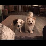 Jake Leach - @jake_leach1997 - Instagram