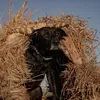 jakeleach_1 - @jakeleach_1 - TikTok